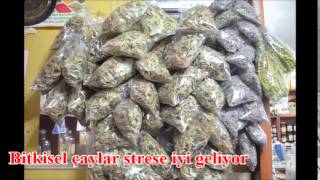 Aktardan Çay Çeşitleri