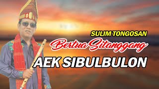 AEK SIBULBULON SULIM TONGOSAN BERTUA SITANGGANG