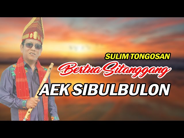 AEK SIBULBULON SULIM TONGOSAN | BERTUA SITANGGANG class=