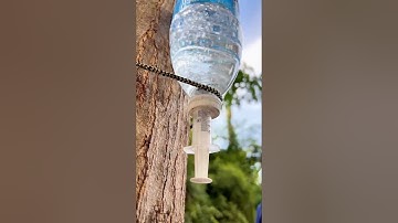 SAVE Water With This Simple Tip!