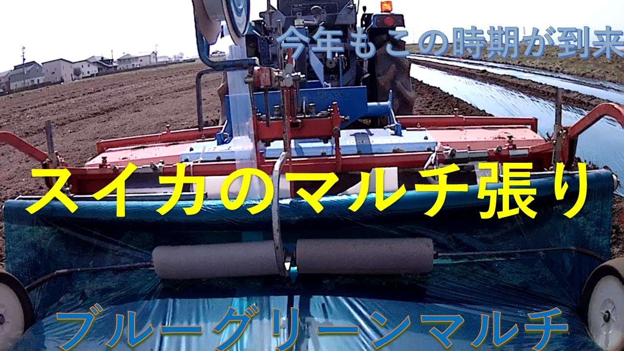 スイカのためのトラクターでマルチ張り。今年も忙しくなる時期が到来