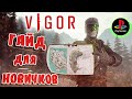 VIGOR Обзор / ВИГОР Глазами Новичка / VIGOR ПС4 Гайд для Новичка