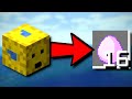 The Fastest Egg Farm in Hypixel SkyBlock | Tutorial & Guide (30 Super Enchanted Eggs PER DAY)