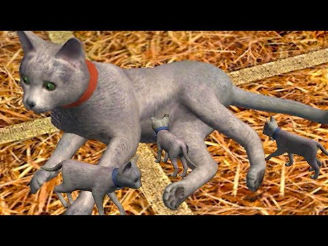 Симулятор КОТА и КОШКИ #4 Родился котенок у Кида на Пурумчата