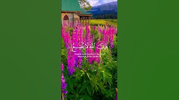 تلاوة عطرة من سورة يوسف #quran #قرآن #تلاوة_خاشعة #اذكروا_الله_يذكركم #أذكار