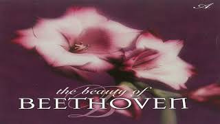 Michael Maxwell & His Orchestra ‎– The Beauty Of Beethoven