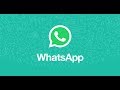 Новое обновление WhatsApp позволит передавать файлы любого формата