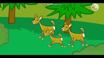 Monica and Rudy 2 Learn with ducktv ducktv