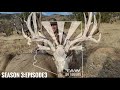 Double Main Beam Stud Buck Down In The Kaibab (AZ)-Season 3:Episode 3