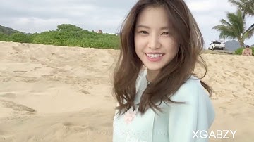 REFLECTION - multifemale mep