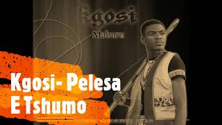 Kgosi - Pelesa E Tshumo