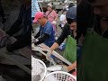 Viral Moment! The Most Satisfying Sight First Hand Live Amberjack Harvest and Instant Processing! 粉鳥