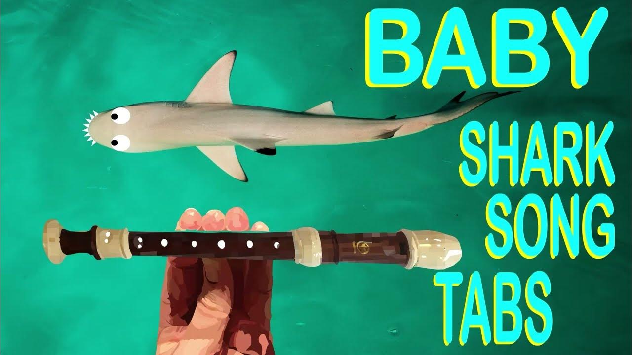 How to Play Baby Shark on the Recorder YouTube