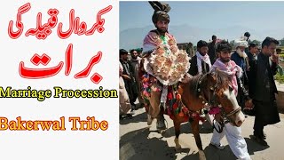 Bakerwal Qabeela Gi Janj|| Baraat||Marriage Procession Of Bakerwal Tribe||بکروال قبیلہ گی جنج/برات