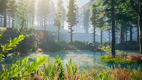 Unreal engine 4 Foggy Forest..
