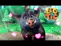 Leo and Tig - Bad Luck (Episode 21) 🦁 Cartoon for kids Kedoo Toons TV