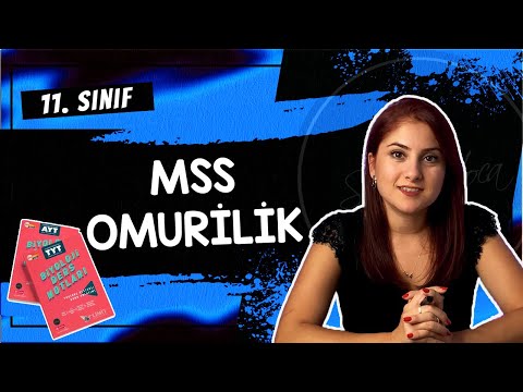 4) MERKEZİ SİNİR SİSTEMİ OMURİLİK | 11. SINIF | AYT BİYOLOJİ DERS NOTLARI | 2024