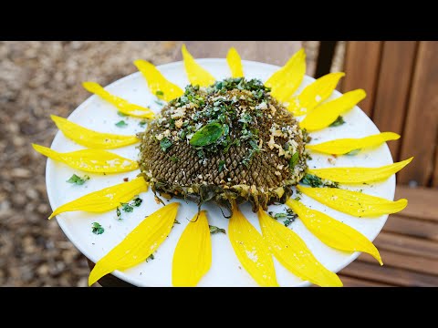 Video: Sunflower Head Recipes: Cooking A Whole Sunflower