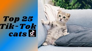 Top 30 Cutest Compilation #5 Cute Puppies Doing Funny Things 2020 by Top 10 649 views 3 years ago 5 minutes, 50 seconds