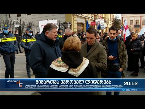 ოპოზიციის მიმართვა ევროპელ ლიდერებს - ხელისუფლებასთან ოპონირება ქვეყნის ინტერესის საზიანოდ