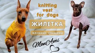 Как связать спицами жилетку для собаки, knitting vest for dogs