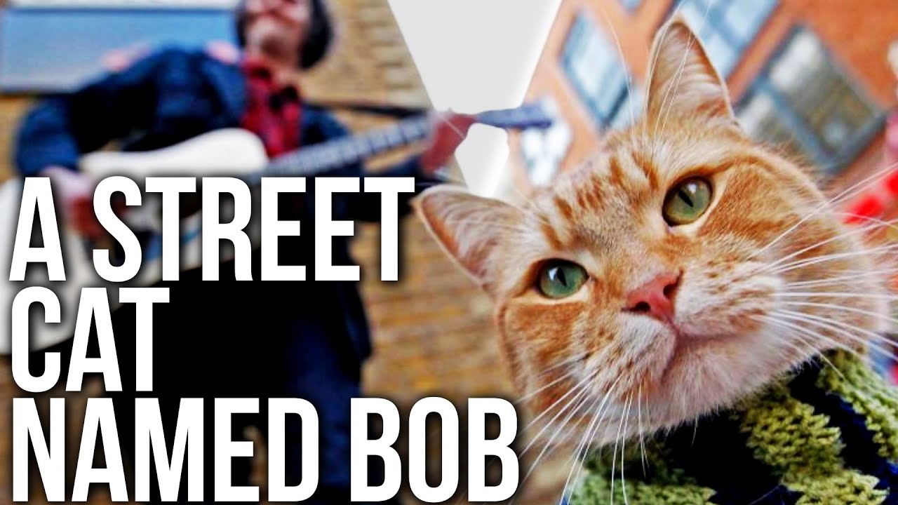 2016 A Street Cat Named Bob