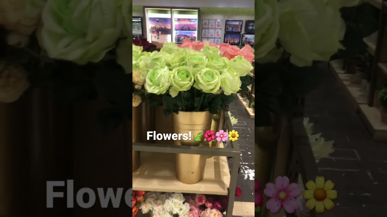 Flowers my Favorite🌺🌸🌼🍃￼ bc is True I love Nature!