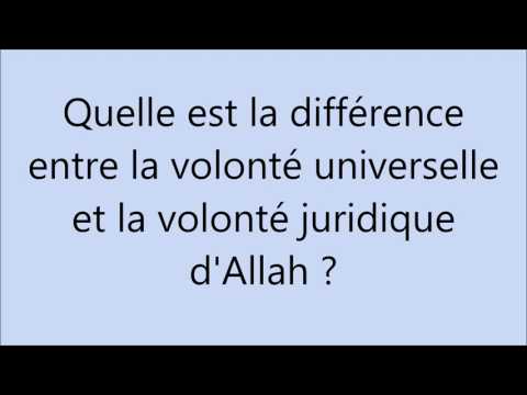 Vidéo: La volonté et la différence ?