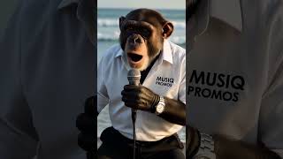 The  Song   Musiq Promos Ai  Sending Love To Queens