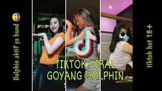 Tiktok hot 18  || goyang dolphin