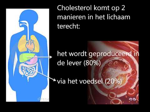 Video: De Effecten Van Cholesterol Op Het Lichaam