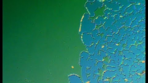 SEEC Microscopy: 15nm-polystyrene thin film dewetting