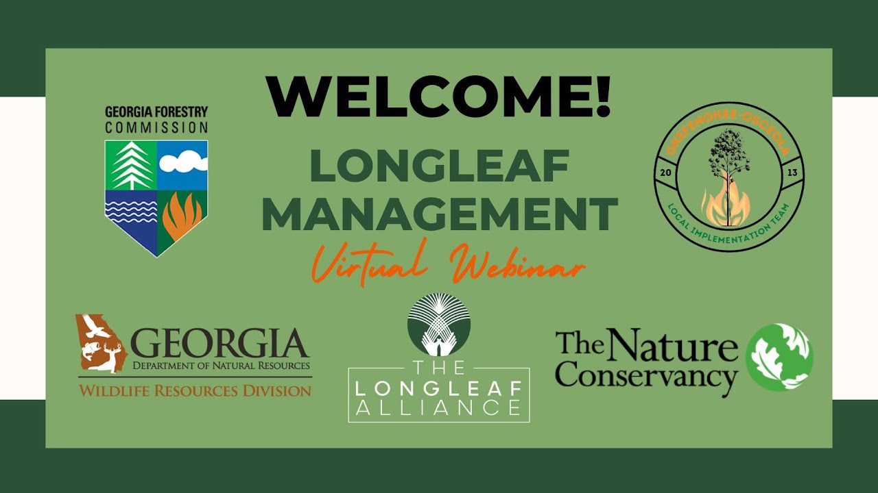 Longleaf Management Webinar