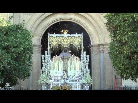 Real, Ilustre y Venerable Hermandad Sacramental de Nuestro Padre Jesús Nazareno de los Pasos en el Monte Calvario y María Santísima del Rocío Coronada