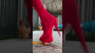 Stepping on Fruits While Wearing Heels TikTok: baylebee screenshot 2