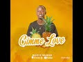 Gimme Love By Manzi De Magicar Pineapple Album Gimme Love By Manzi De Magicar Pineapple Album