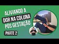 😀 Aliviando a DOR NA COLUNA pós gestação 2