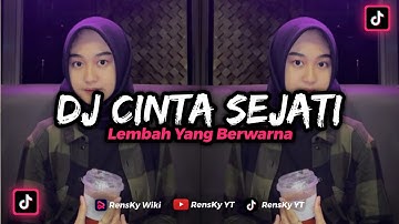 DJ CINTA SEJATI DJ LEMBAH YANG BERWARNA VIRAL‼️ DJ TIKTOK TERBARU 2023‼️