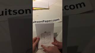 IMG 4958