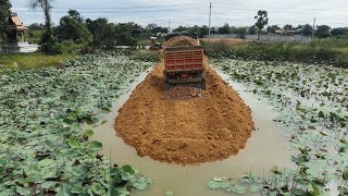 Awesome Landfill!  Making a Long Road Use D20P Dozer Pushing Stones into Deep Lake with Dump Truck