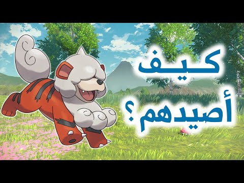 مواقع كل البوكيمونات الجديدة   