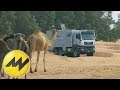 Offroad-Wohnmobil von Action Mobil: Dieser MAN ist wie gemacht für die Wüste