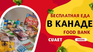 Получите бесплатную еду в Канаде |  Фудбанк в Канаде | Что дают?