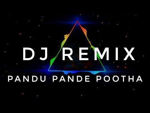 Pandu Pande Pootha Malarukal Malayalam Remix     