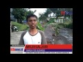Video : Warga Yos Sudarso Tanam Pohon Pisang di Jalan