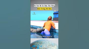Cô gái bị cá sấu tấn công, bên trong hồ bơi #shorts