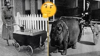 Rare Historical Photos That Will Blow Your Mind @FactsForYouNow
