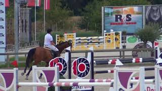 Jubab Van T Siamshof 9Yo Gelding 1M40 Csi3 Lier