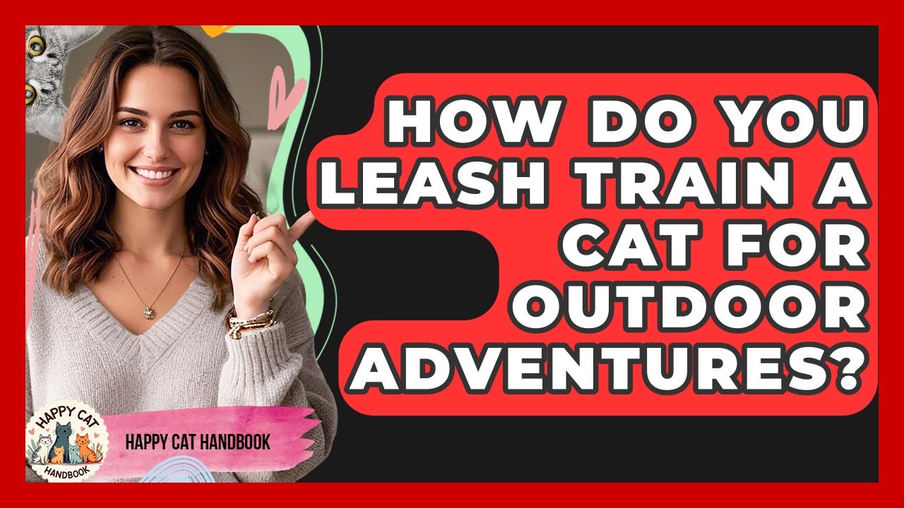 How Do You Leash Train A Cat For Outdoor Adventures? - Happy Cat Handbook