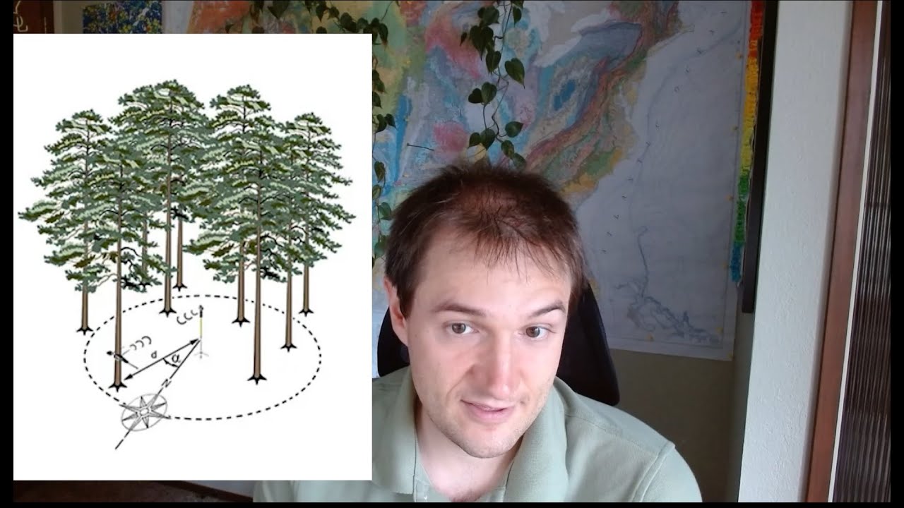 How Forests Are Measured (Traditionally)